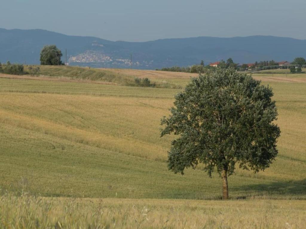 Przyroda w pobliżu tego domu wakacyjnego