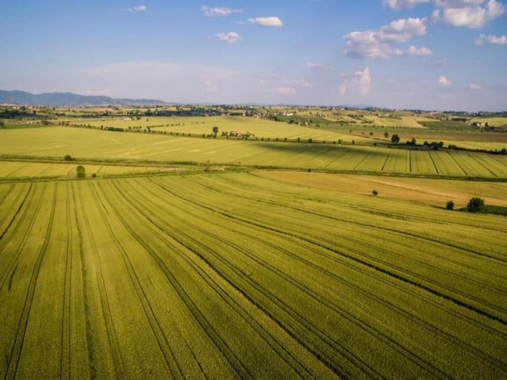 Przyroda w pobliżu tego domu wakacyjnego