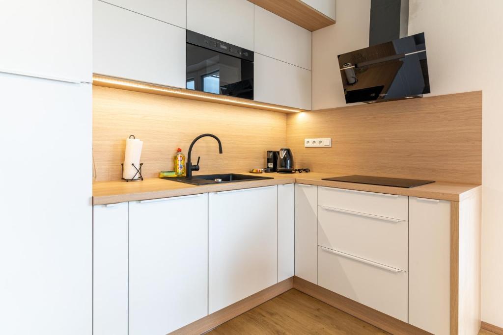 Kuchyň nebo kuchyňský kout v ubytování SOLARIS APARTMÁNY Pálava