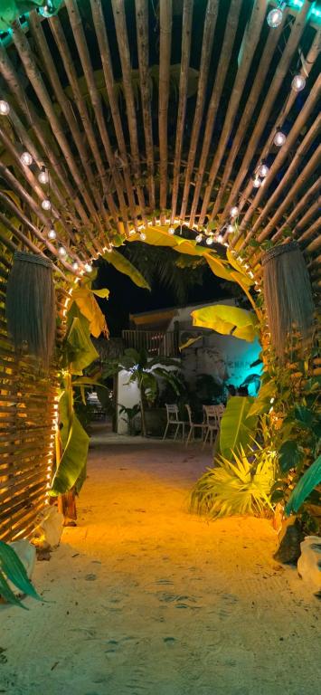 Fotografie z fotogalerie ubytování Chambao Maldives v destinaci Guraidhoo