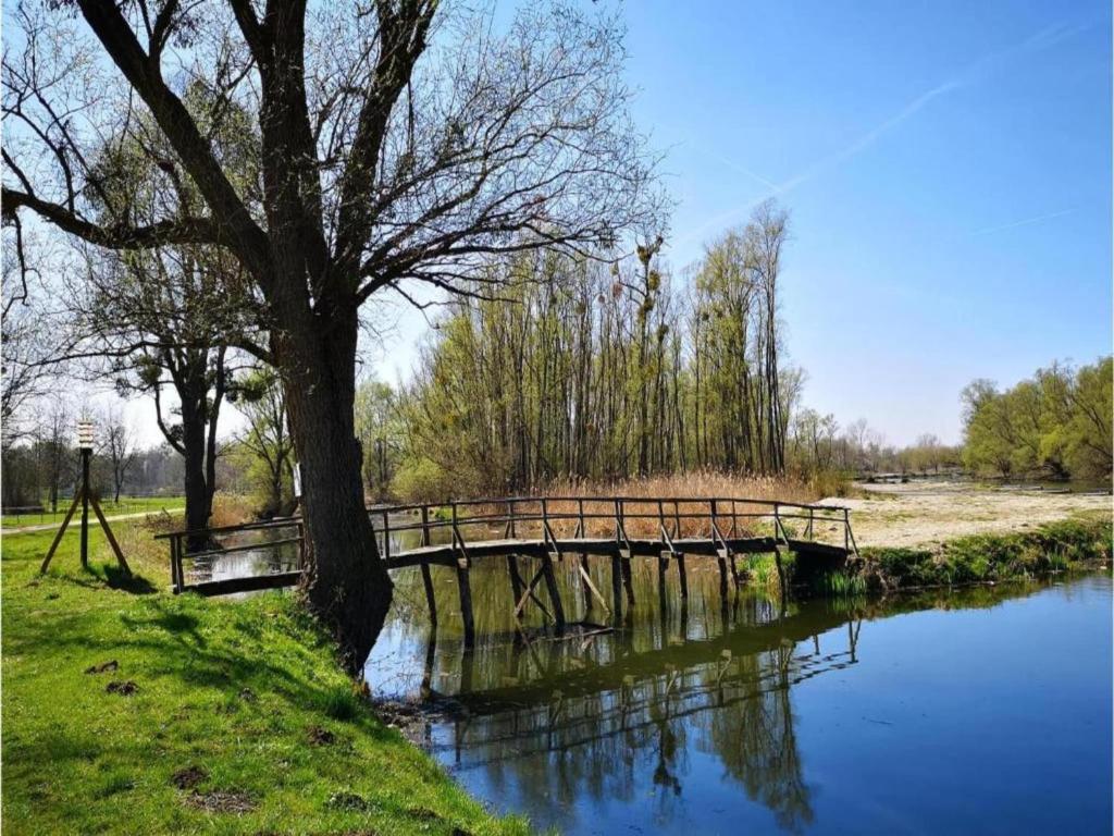 Príroda v okolí apartmánu