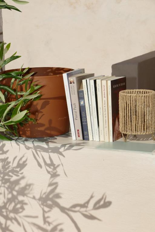 Residenza l 'Alivetu - 16