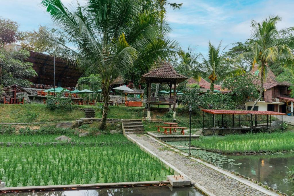 a resort with palm trees and a pond in a field at Padi Heritage Hotel in Karangjepun