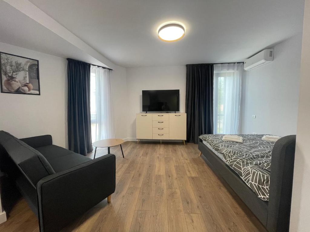 a bedroom with a bed and a couch and a television at City Studio in Tulcea