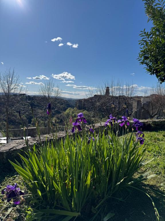 Le Camere Del Ceccottino - Villa Con Vista Giardino