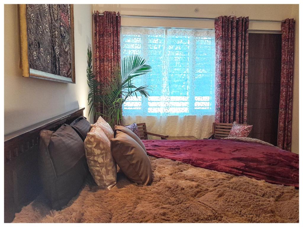 德拉敦Symphony at Brooke of Life的相册照片