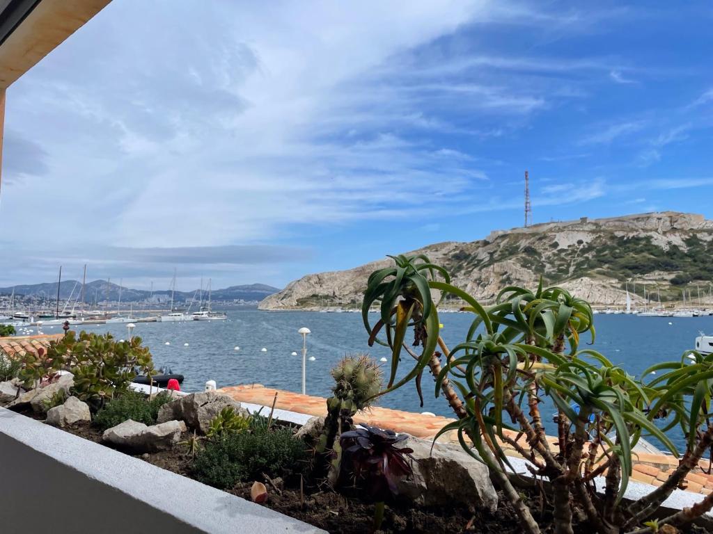une vue d'un port avec des bateaux dans l'eau dans l'établissement Le Temps d'une ïle - Frioul - Imprenable vue mer, à Marseille
