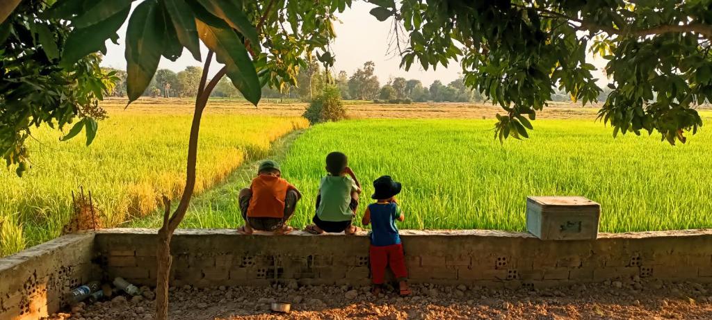 Hosté ubytování Phonluer Angkor Homestay,