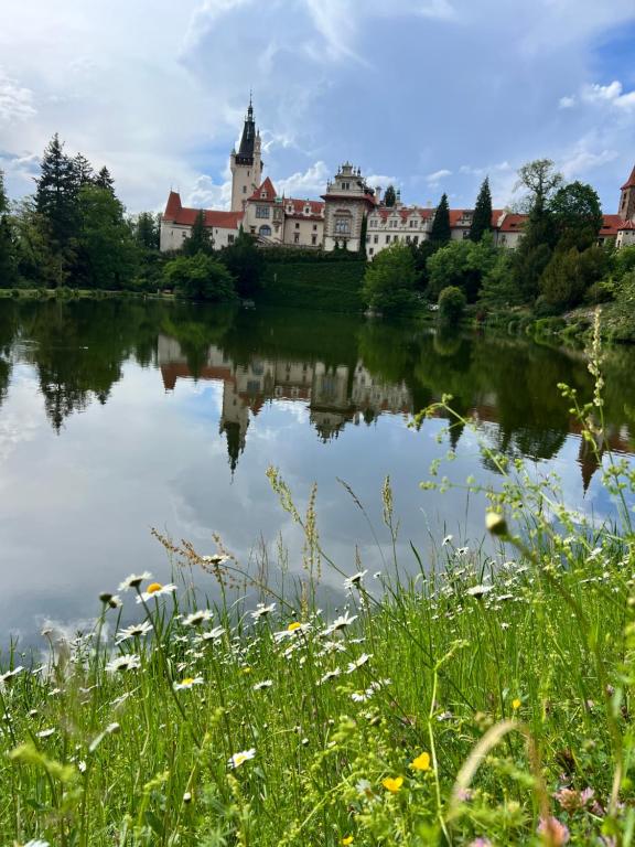 Příroda nedaleko apartmánu