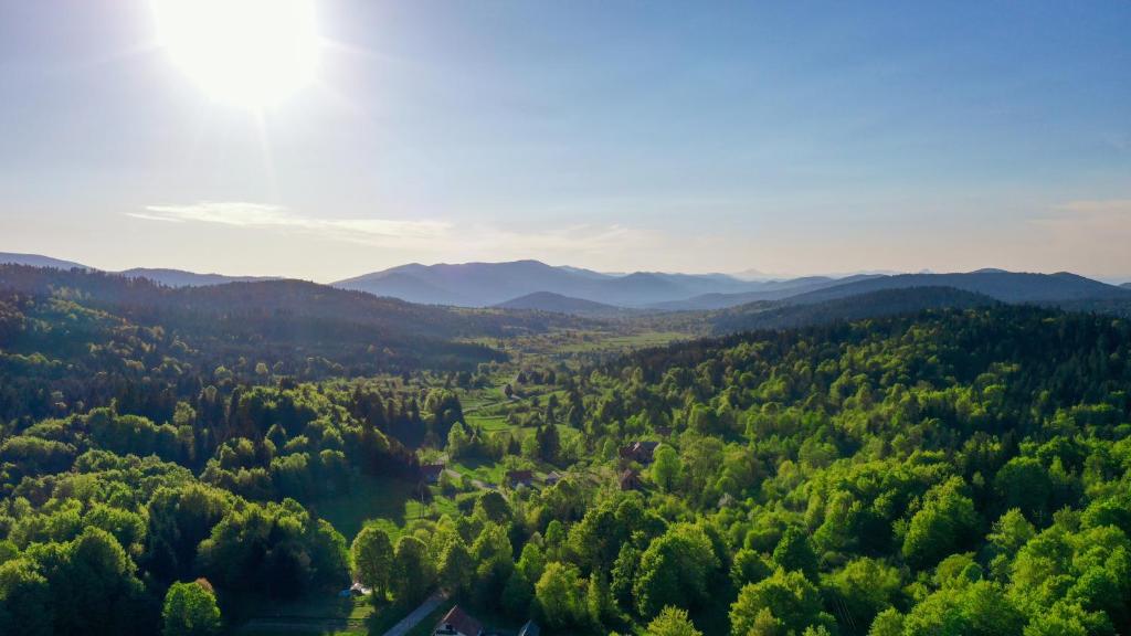 an aerial view of a forest with mountains in the background at Matanovi Dvori in Saborsko
