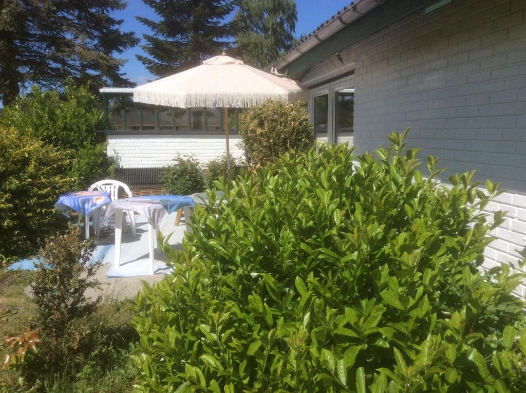 Zahrada ubytování Single Room