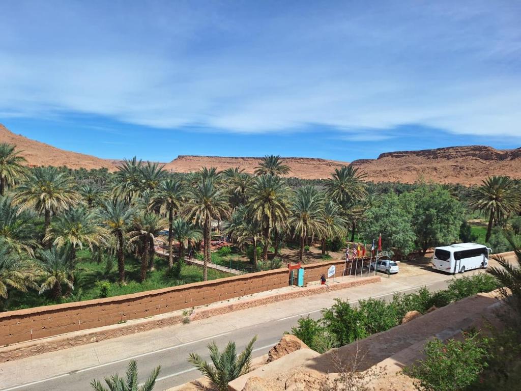 拉希迪耶Hotel Kasbah Fenguig的一条棕榈树环绕的沙漠中的道路