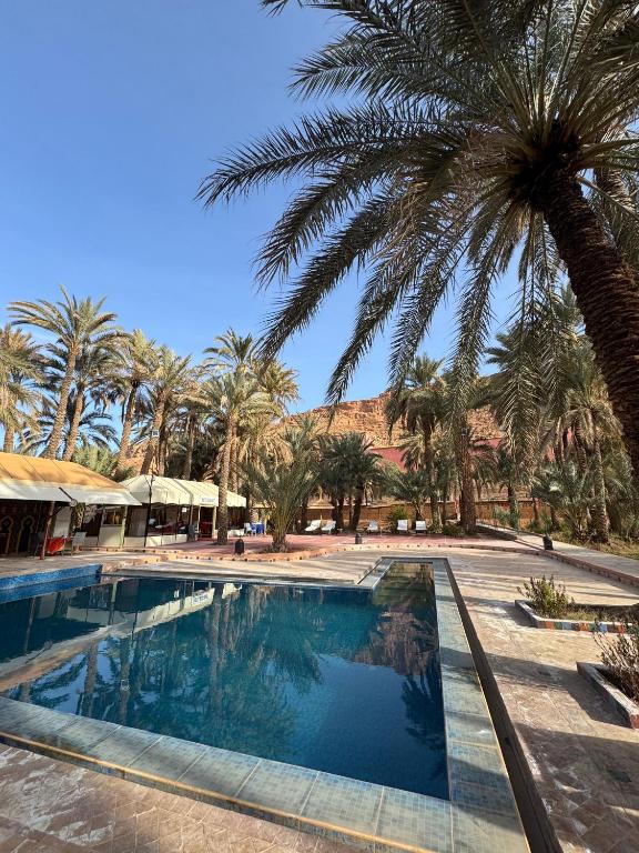 拉希迪耶Hotel Kasbah Fenguig的度假村里有棕榈树的游泳池