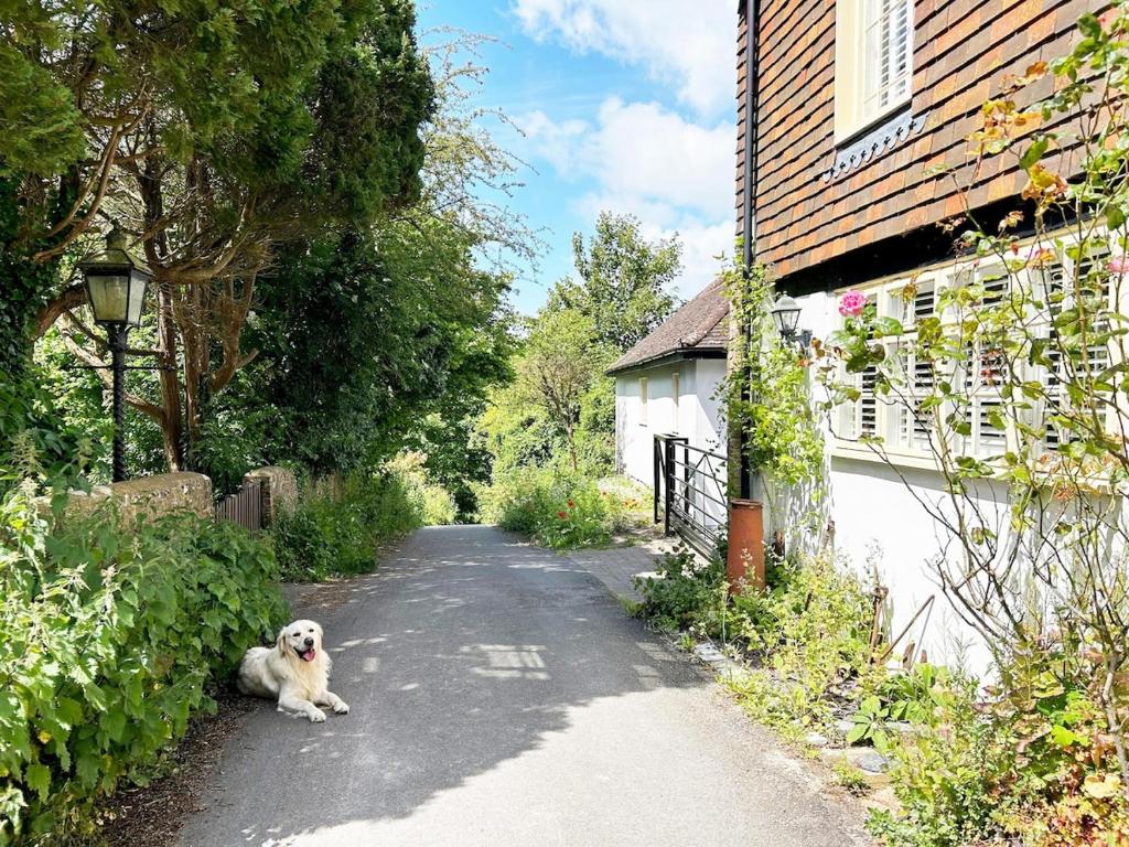 a dog sitting on the side of a road next to a house at The Stables at The Forge Self Contained Apartment in Pyecombe
