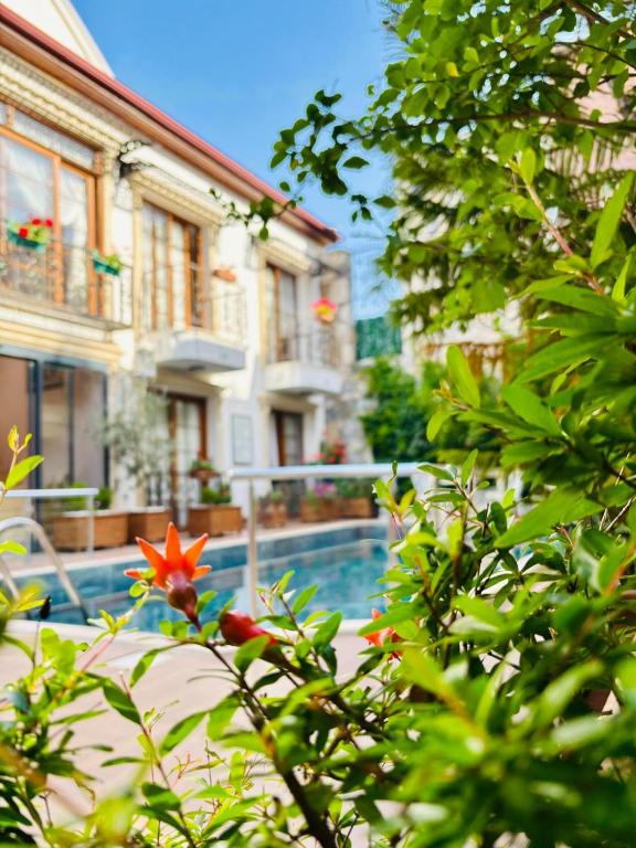 Saint John Hotel - 11