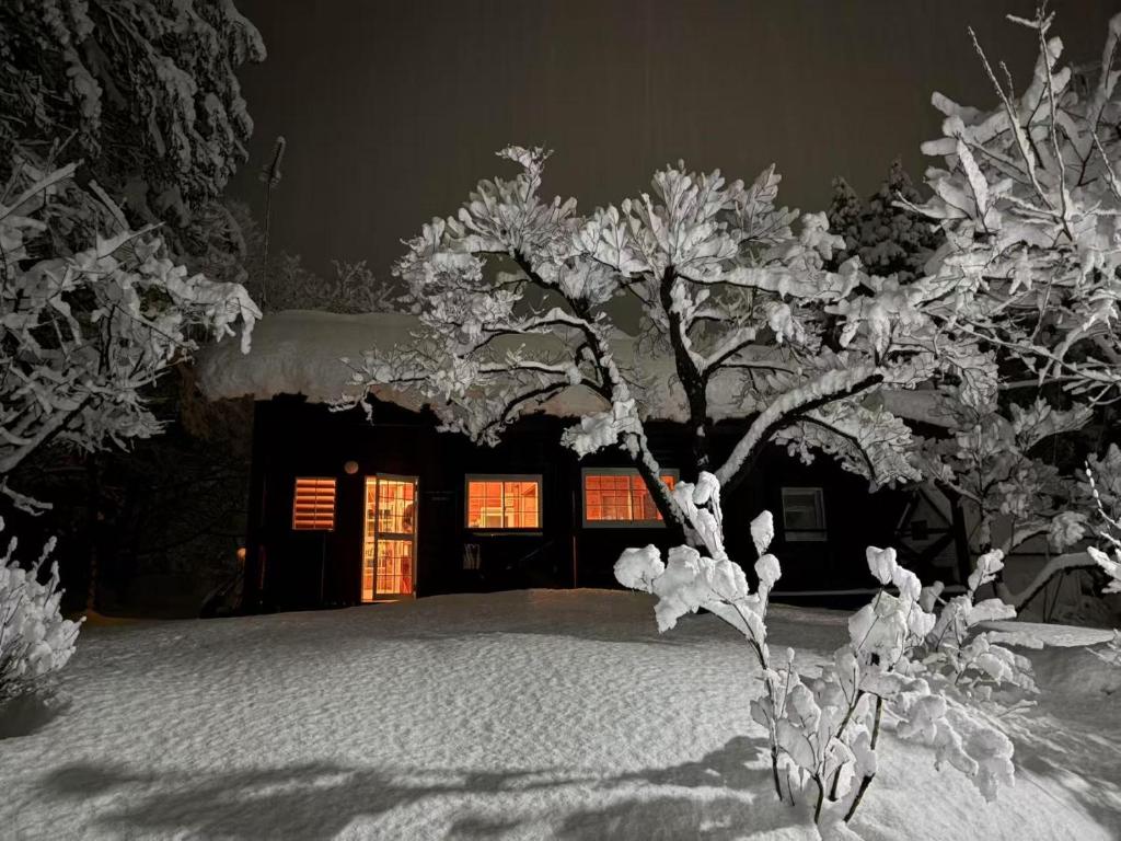 a tree in the snow in front of a house at beau lac biwako annex in Takashima