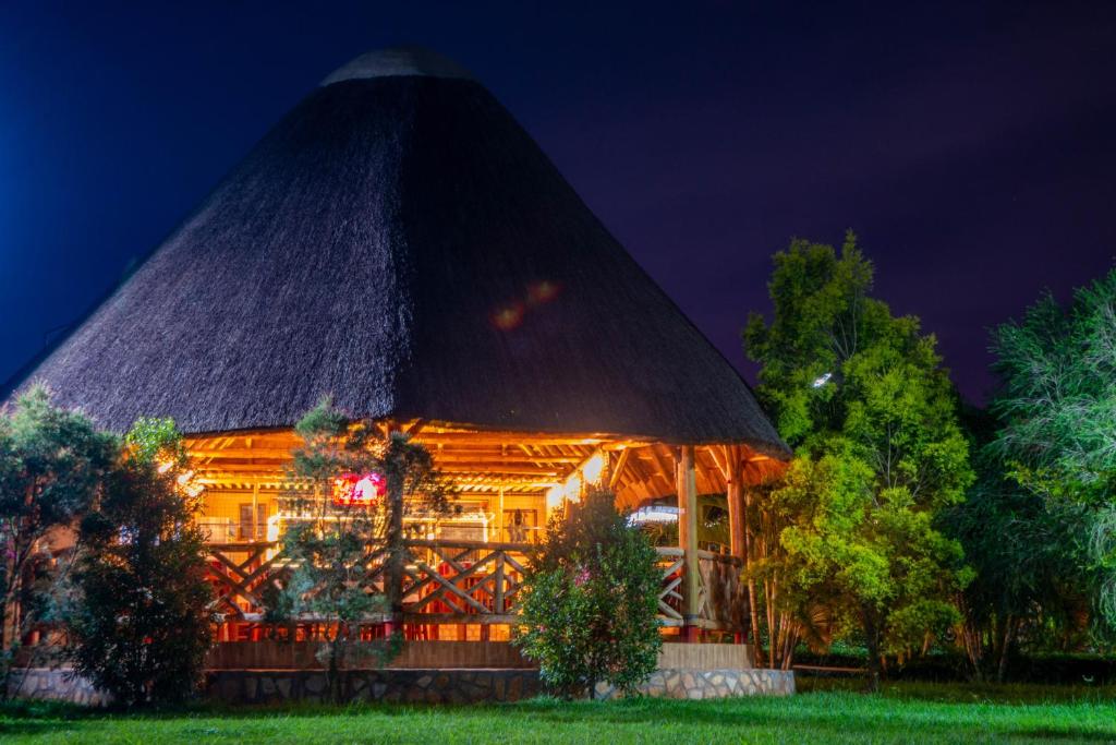 African Roots Guesthouse Entebbe tesisinin dışında bir bahçe