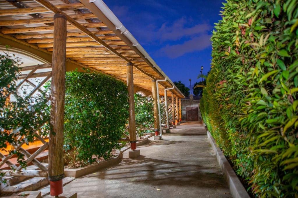 African Roots Guesthouse Entebbe tesisinin dışında bir bahçe