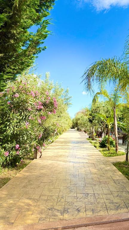 a stone pathway with trees and pink flowers on the side at Rida Village Ksamil Island in Ksamil