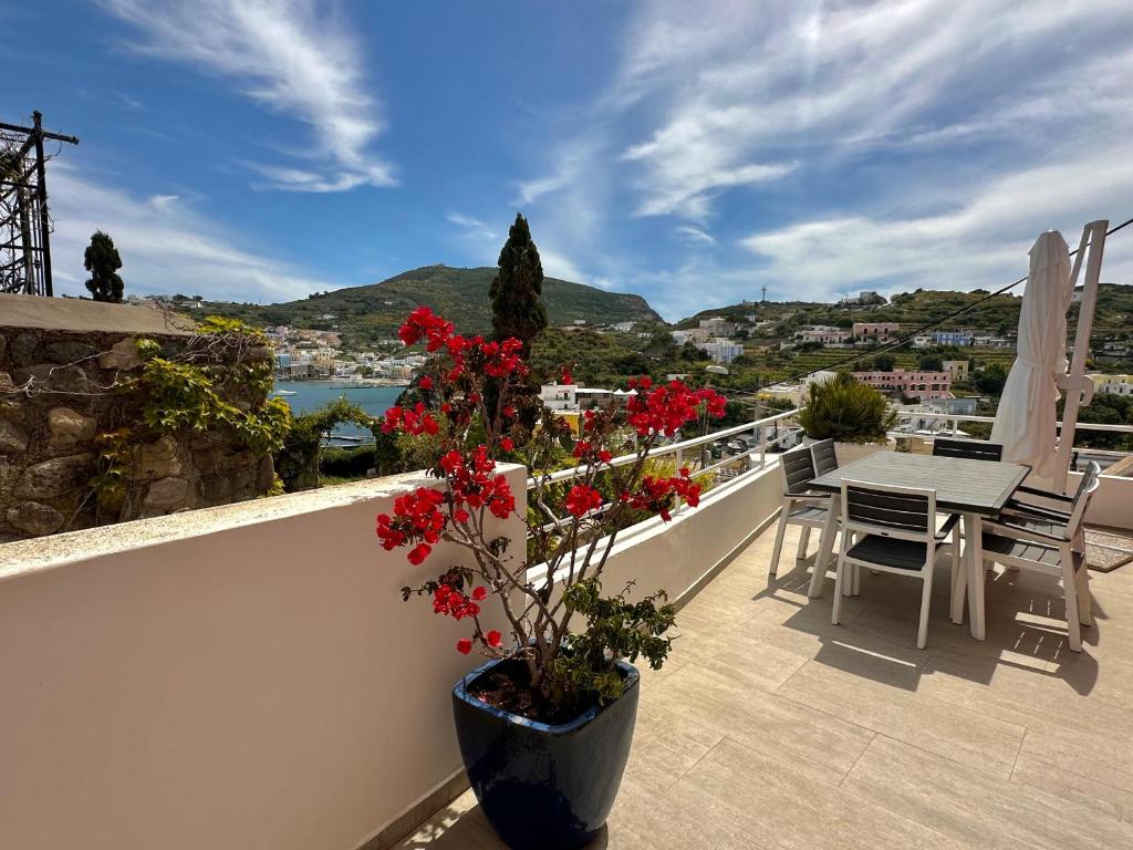 Φωτογραφία από το άλμπουμ του Turistcasa - Gitti House - σε Ponza