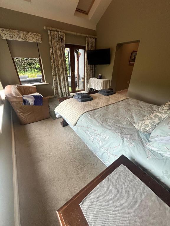 TV a/nebo společenská místnost v ubytování Castletown Carlow