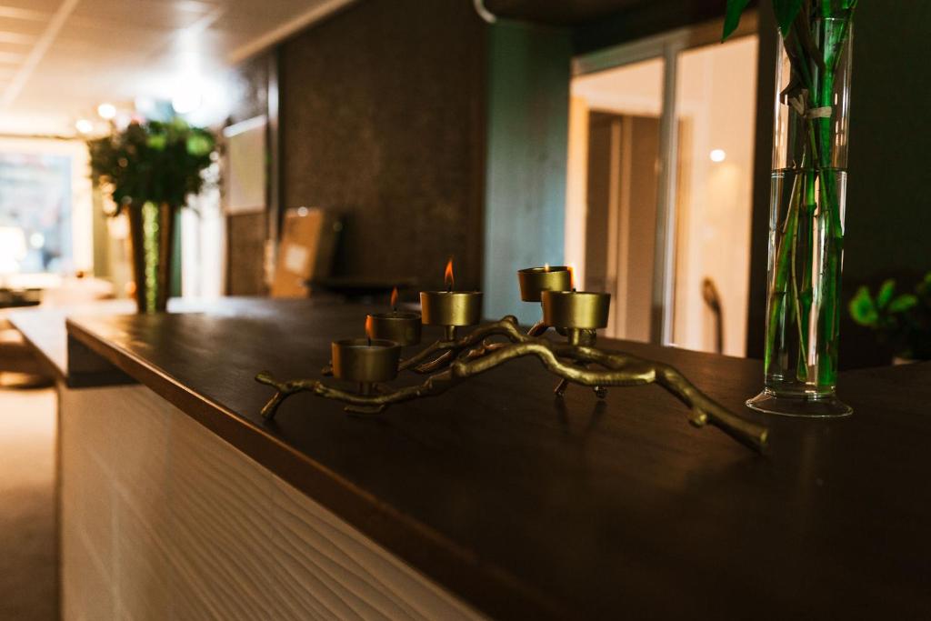 Fotografie z fotogalerie ubytování Lycksele Inn v destinaci Lycksele