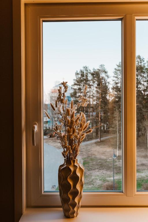 Příroda nedaleko hotelu