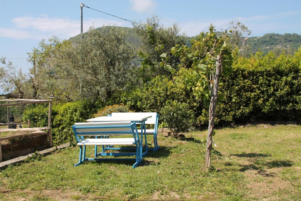 Zahrada ubytování Agriturismo Piccolo Paradiso