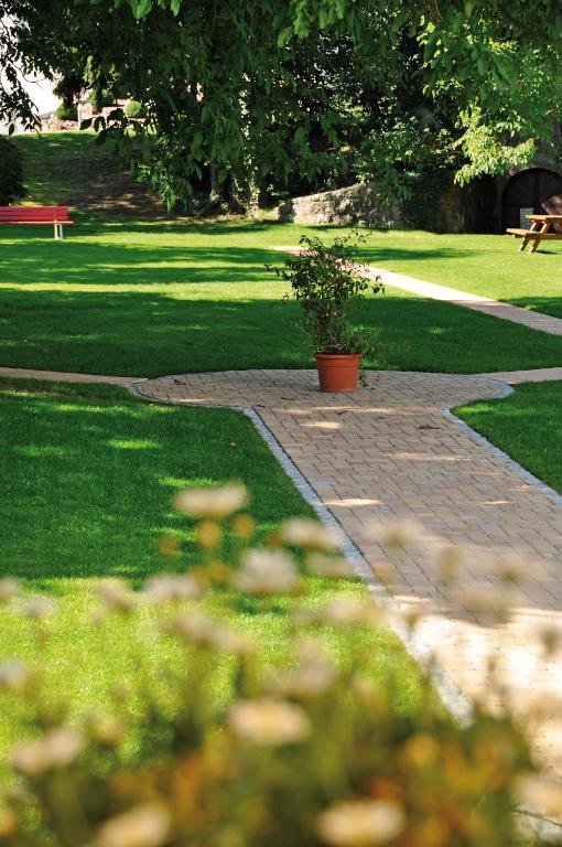 Zahrada ubytování Gartenhotel Feldeck
