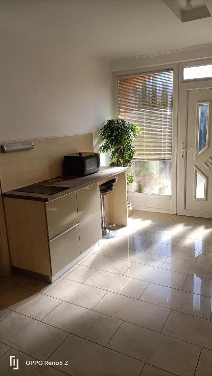 A kitchen or kitchenette at Fáraó vendégház