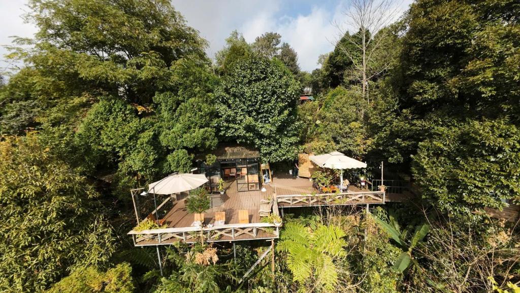 Vườn quanh Sapa Jungle Homestay