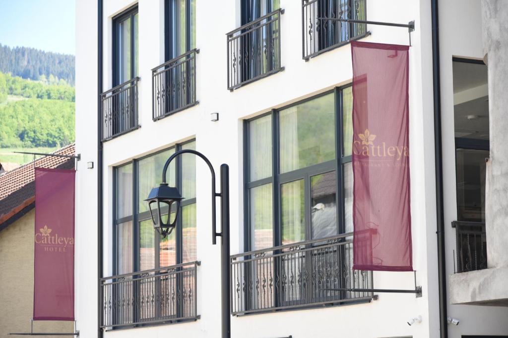 Cattleya hotel - Departamento
