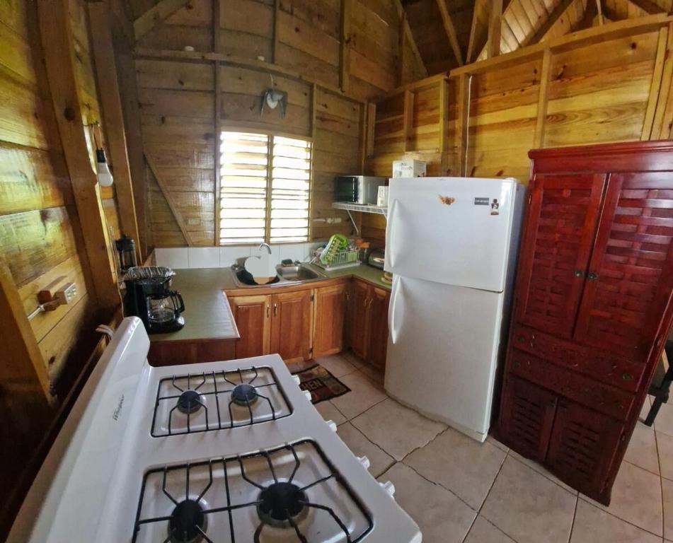 Kuchyň nebo kuchyňský kout v ubytování Negril Humble Cabin