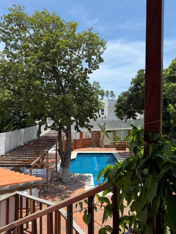 uma piscina com uma árvore ao lado de um deck em Hotel Jardin Boutique rodadero em Santa Marta