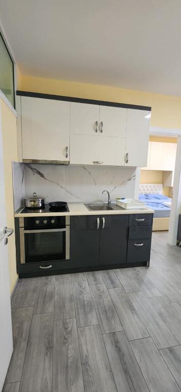 Kuchyň nebo kuchyňský kout v ubytování Summer Apartments in Shengjin