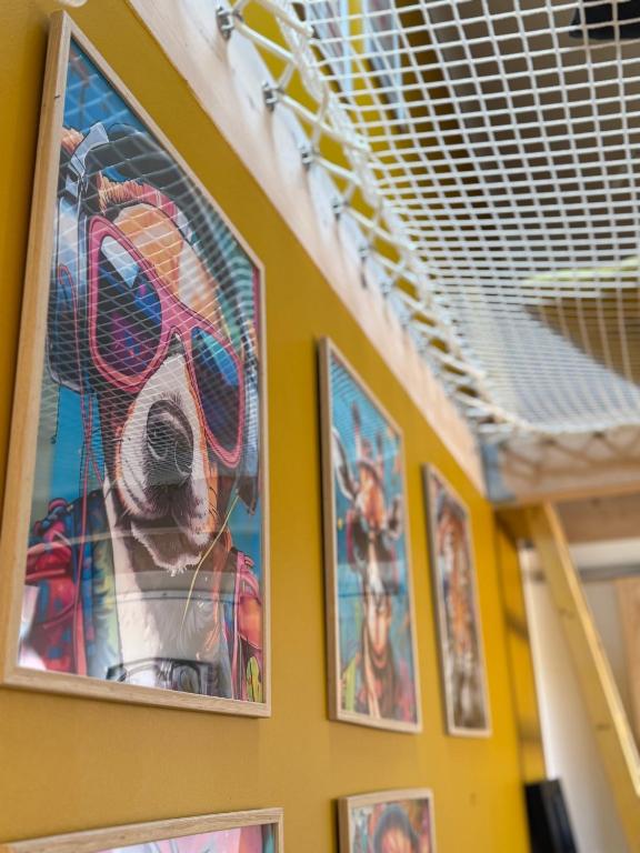 un chien portant des lunettes de soleil, un chapeau et des lunettes dans l'établissement Maison avec Jacuzzi privé, à Perrigny-lès-Dijon