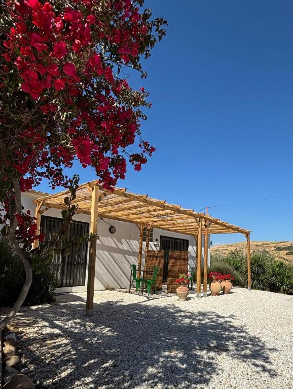 a wooden pergola with a bench and red flowers at Casa Carla Andalucia, el Torcal in Almogía