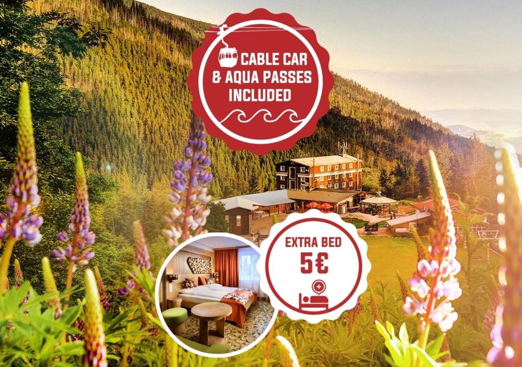 Příroda nedaleko hotelu
