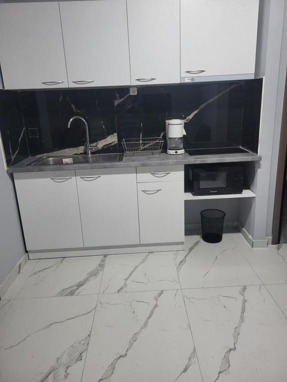 Kuchyň nebo kuchyňský kout v ubytování Diamond Piraeus Port