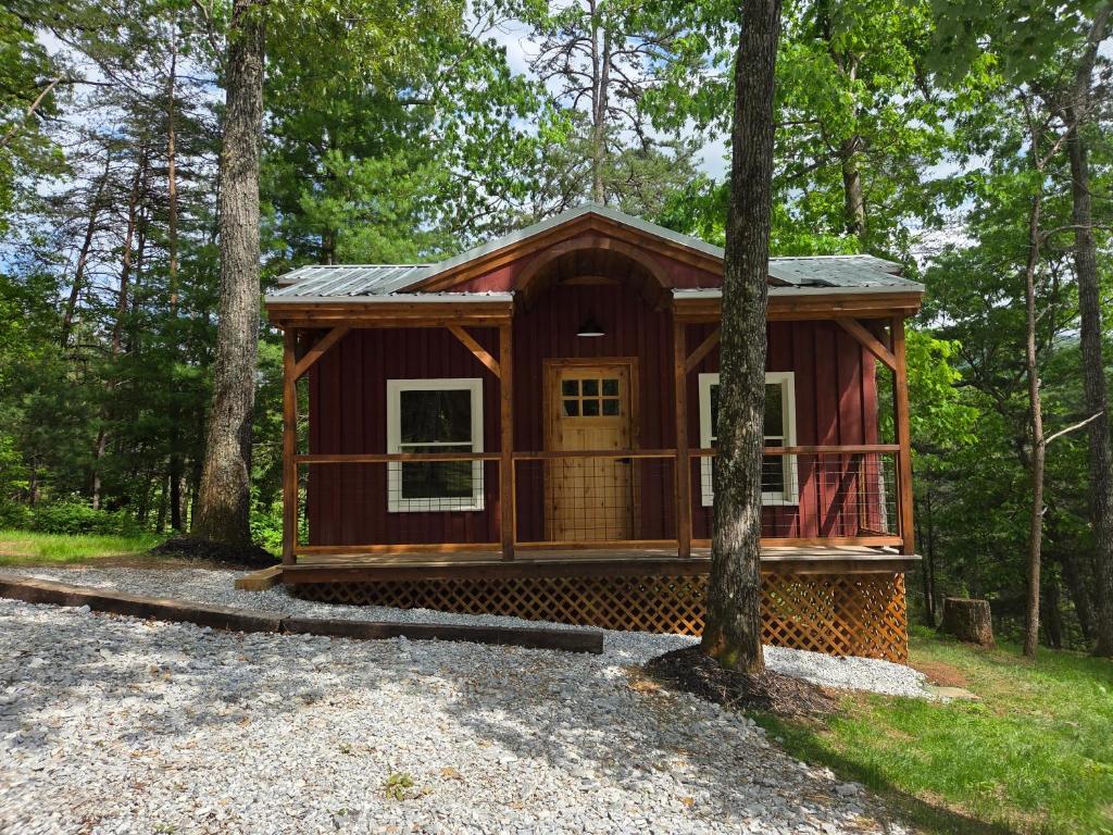 a cabin in the woods with a tree at Lazy T Cabins - Glacier in Robbinsville