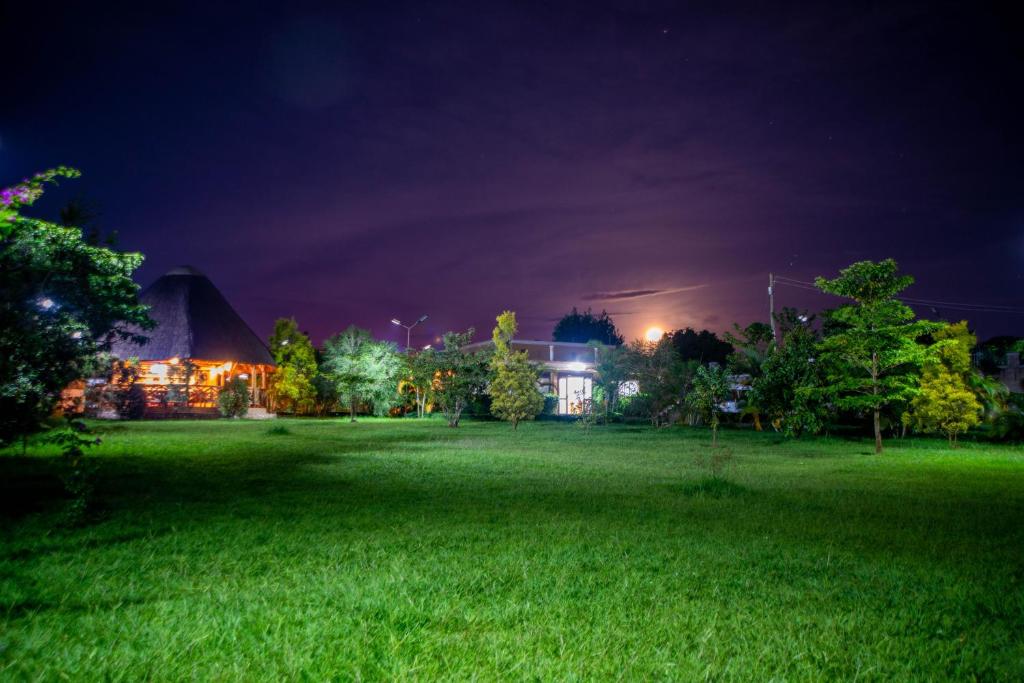 African Roots Guesthouse Entebbe tesisinin dışında bir bahçe