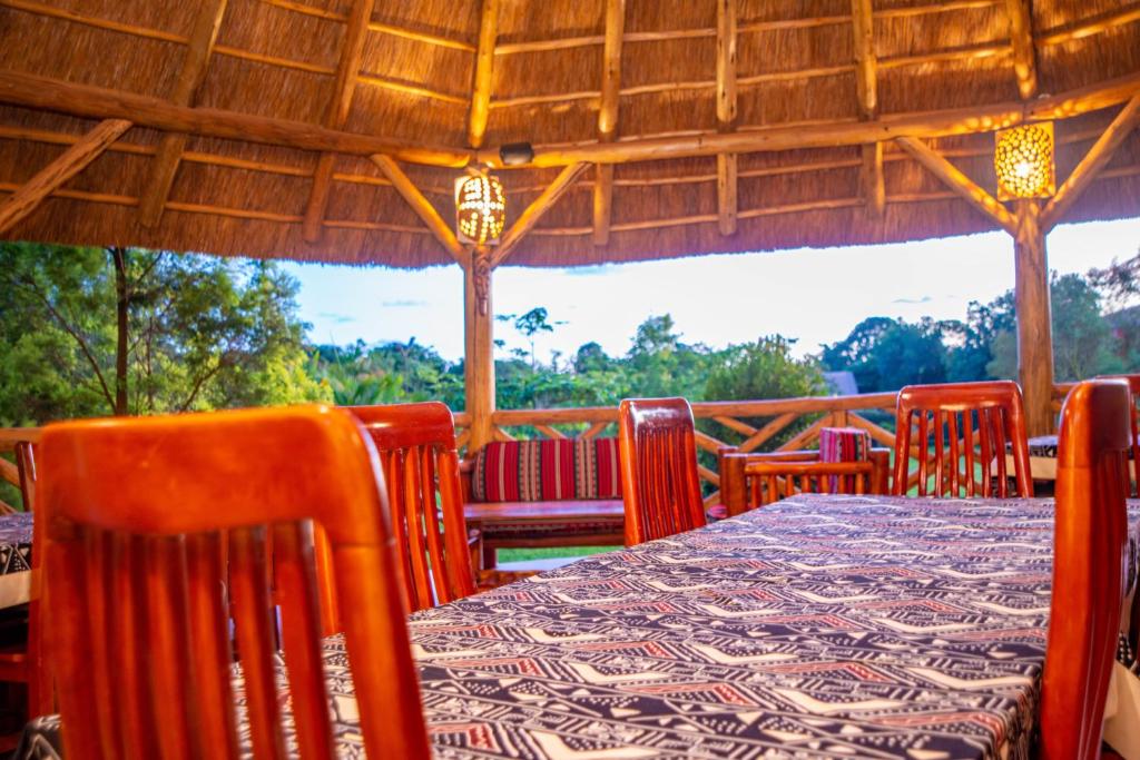 Entebbe şehrindeki African Roots Guesthouse Entebbe tesisine ait fotoğraf galerisinden bir görsel