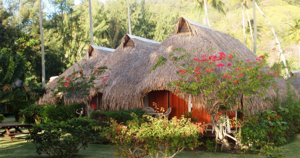 Um jardim no exterior de Hotel Hibiscus