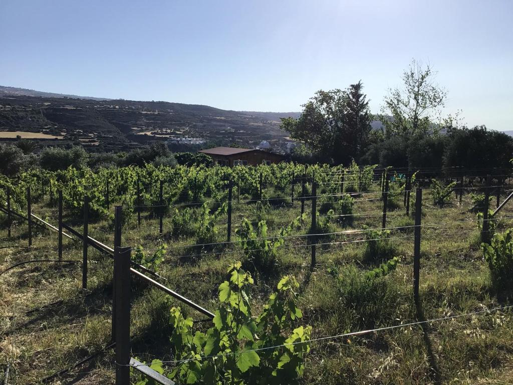 Pervolaris Cottages 1