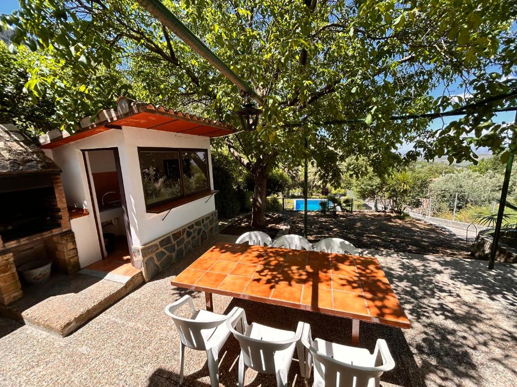 A garden outside Casa el Rincon Cazorla