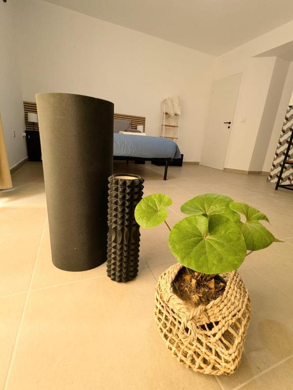 Fotografie z fotogalerie ubytování Gozo Vacation Studios v destinaci Nadur