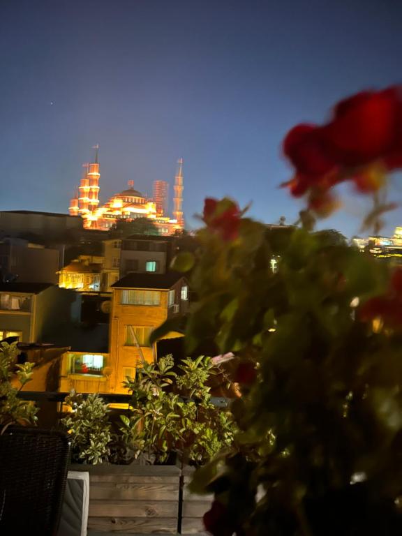Fotografie z fotogalerie ubytování Hagia sophia hotels v destinaci Istanbul