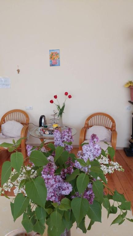 Fotografie z fotogalerie ubytování Guesthouse ''Door'' in Sighnaghi v destinaci Signagi