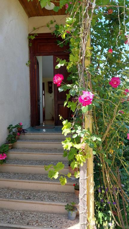 Zahrada ubytování Guesthouse ''Door'' in Sighnaghi