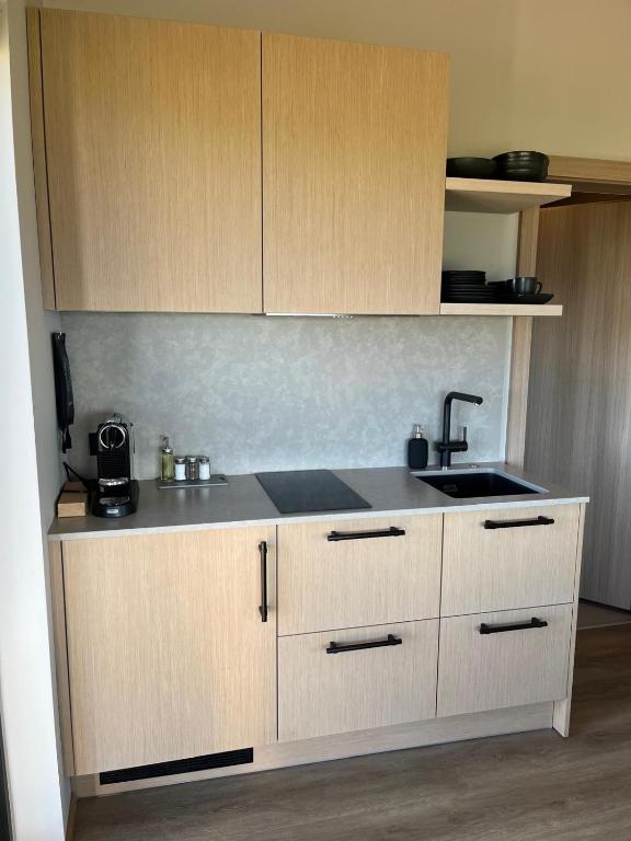 Kuchyň nebo kuchyňský kout v ubytování Peninsula Suites